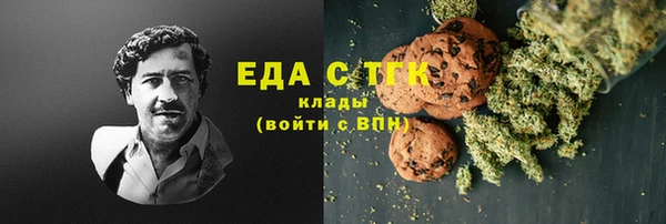 мдпв Гусев