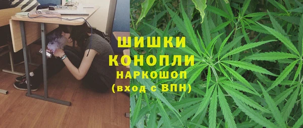a pvp Гусиноозёрск