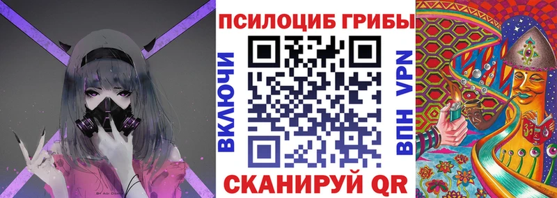 Галлюциногенные грибы Psilocybine cubensis  МЕГА онион  Алупка  купить закладку 